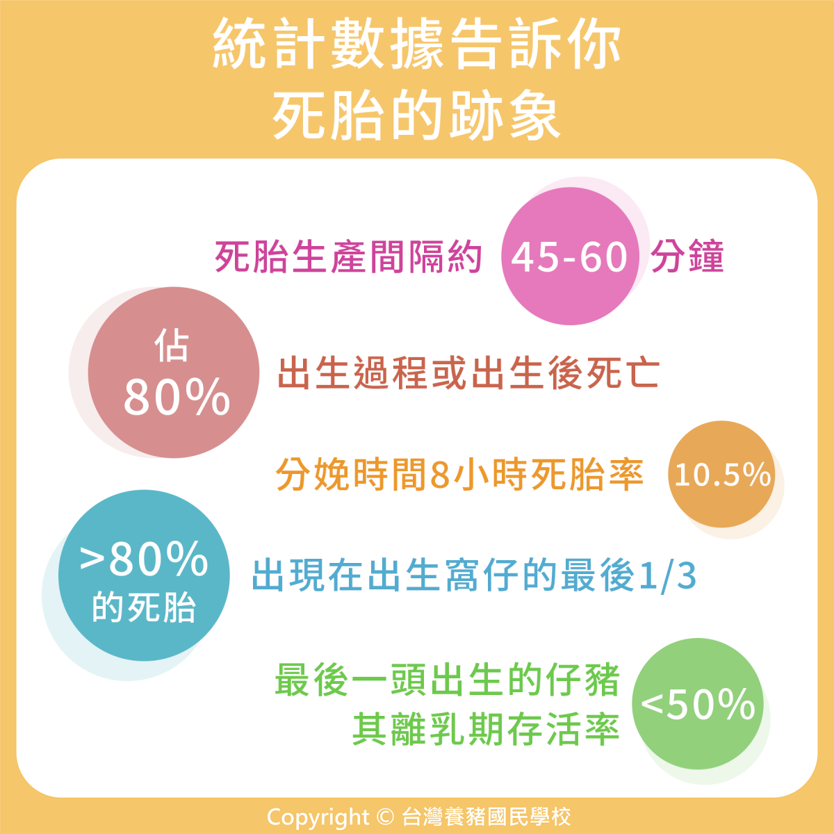 母豬｜106. 統計數據告訴你死胎的跡象| 優豬可尋