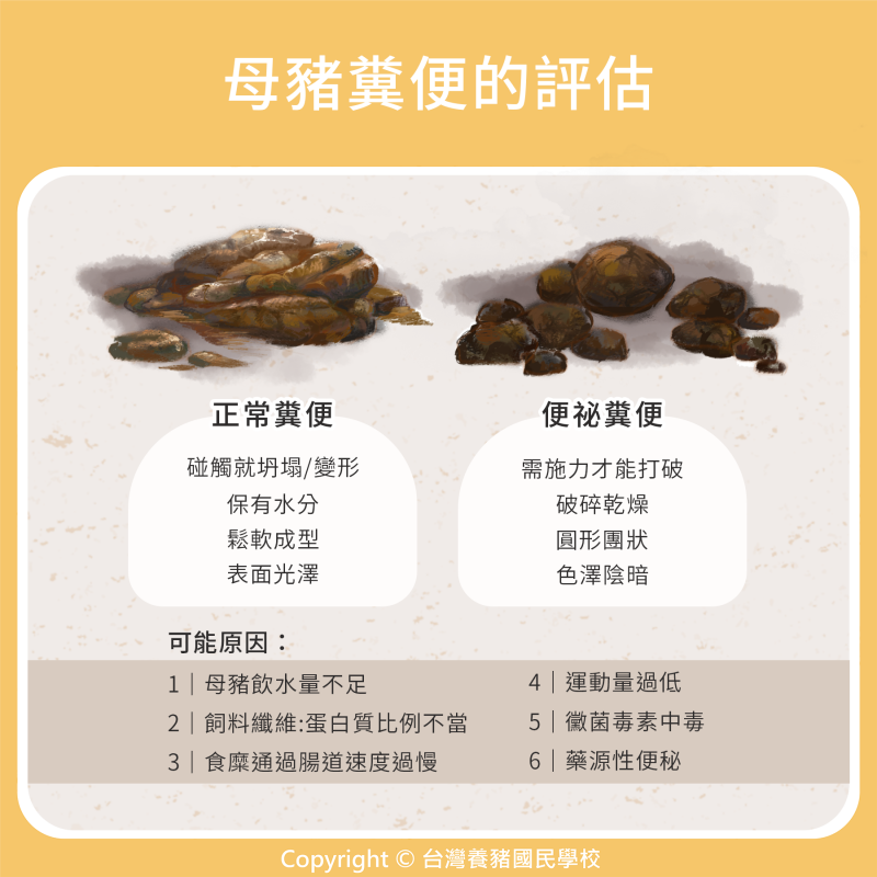 母豬｜176. 母豬糞便的評估 | 優豬可尋